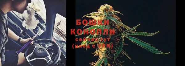 2c-b Белокуриха