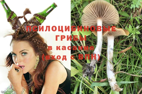 2c-b Белокуриха