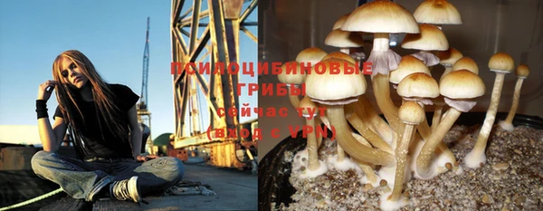 синтетический гашиш Беломорск